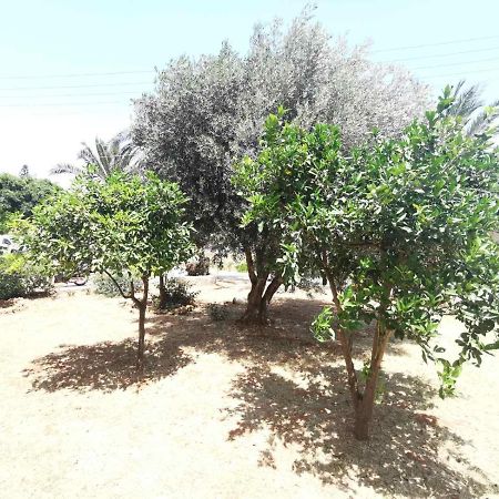 Bed and breakfast Stalis Drops Extérieur photo