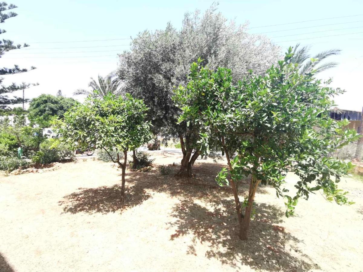 Bed and breakfast Stalis Drops Extérieur photo
